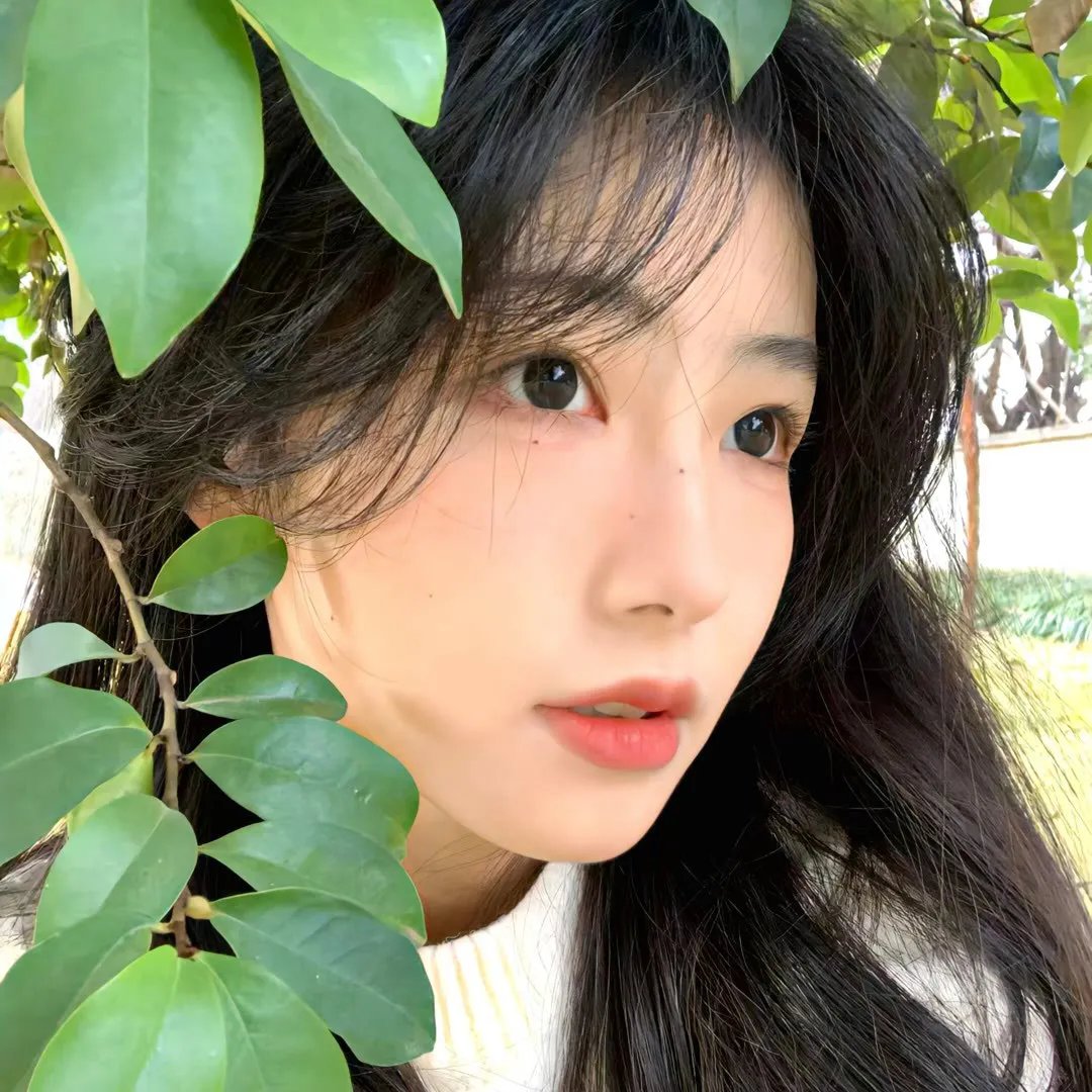 舞影人生