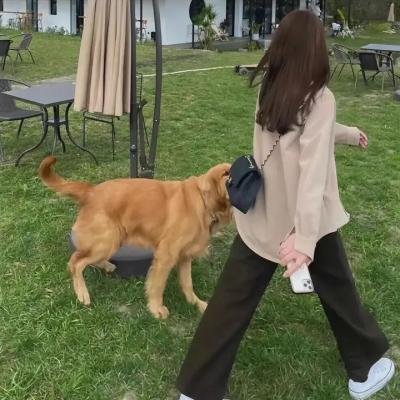 别人的孩子